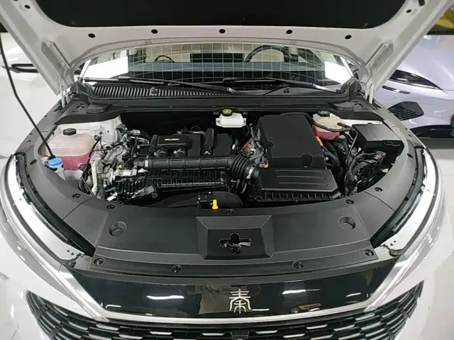 BYD Qin L — Фото автомобиля 24