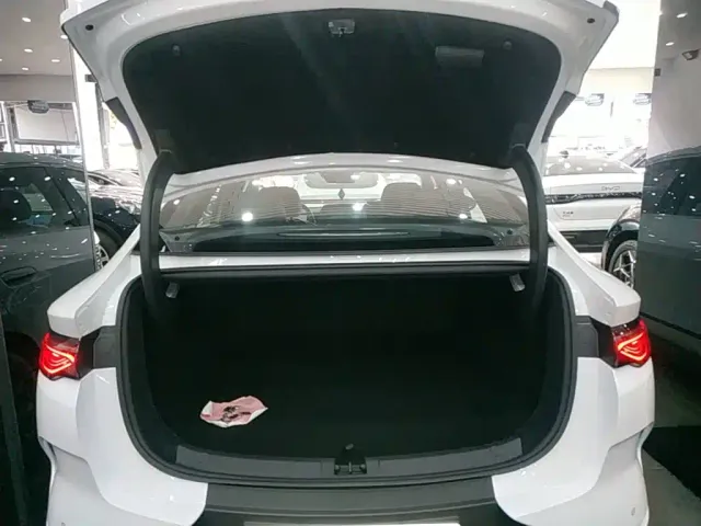 BYD Qin L — Фото автомобиля 18