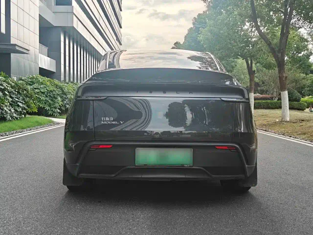 Tesla Model Y — Фото автомобиля 10