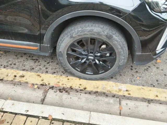 Geely Boyue — Фото автомобиля 24