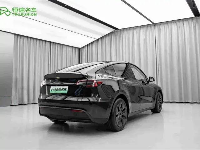 Tesla Model Y — Фото автомобиля 5