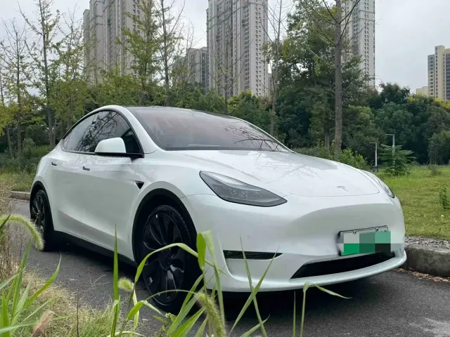 Tesla Model Y — Фото автомобиля 3