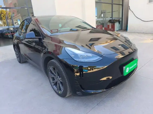 Tesla Model Y — Фото автомобиля 3