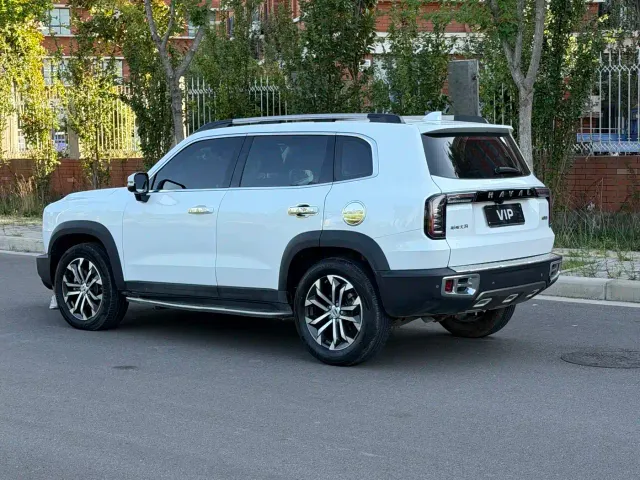 Haval Haval Big Dog 2021 1.5T DCT 2WD Border Collie - Wangcai Edition — Фото автомобиля 4