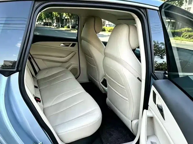 Forthing Xinghai S7 — Фото автомобиля 7