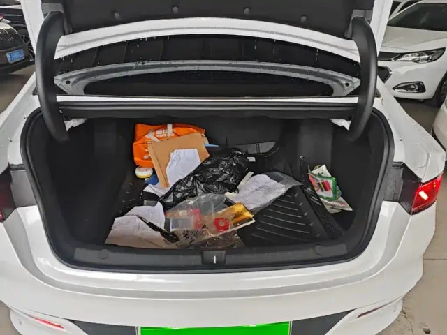 BYD Qin PLUS — Фото автомобиля 18