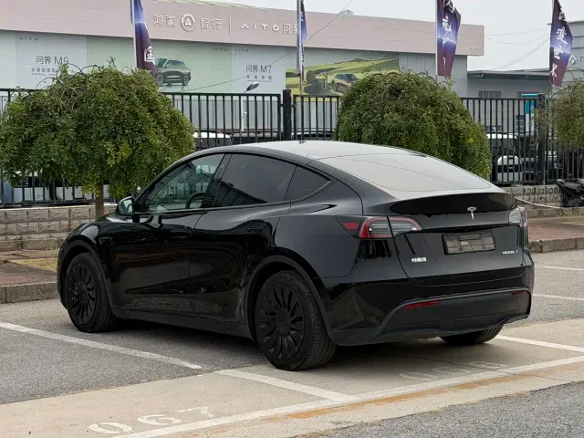 Tesla Model Y — Фото автомобиля 6