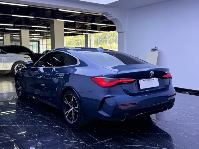 BMW 4 Series — Фото автомобиля 14