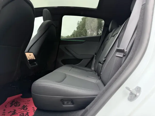 Tesla Model Y — Фото автомобиля 5