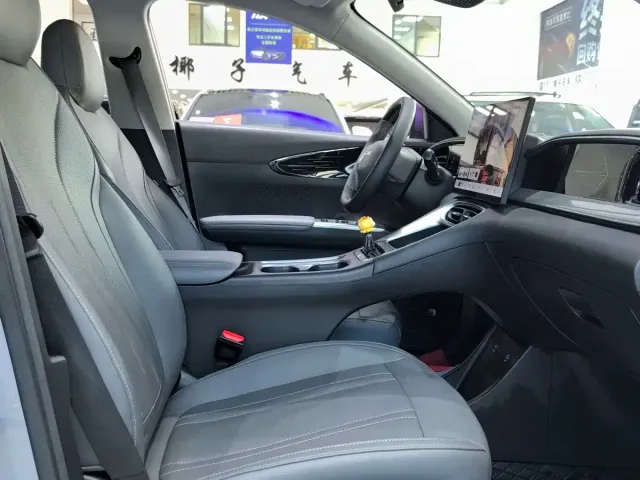 Geely Starry Wish — Фото автомобиля 11