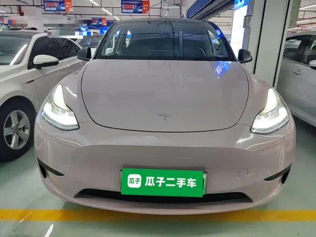 Tesla Model Y — Фото автомобиля 2