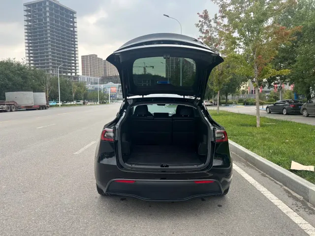 Tesla Model Y — Фото автомобиля 18