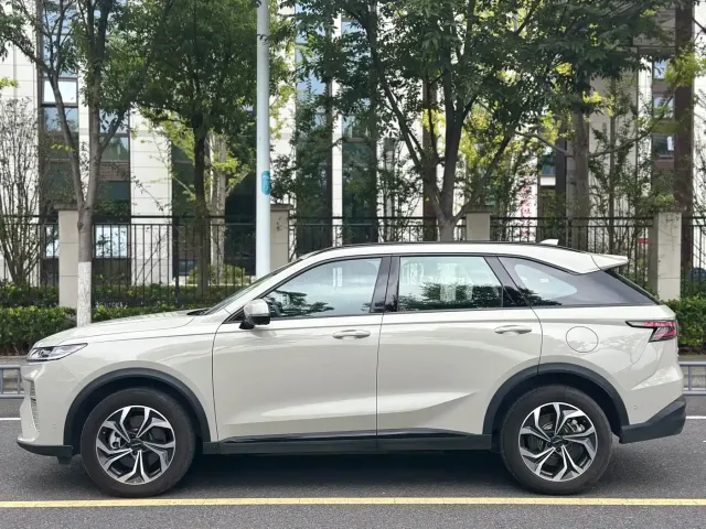 Haval Xiaolong MAX — Фото автомобиля 8