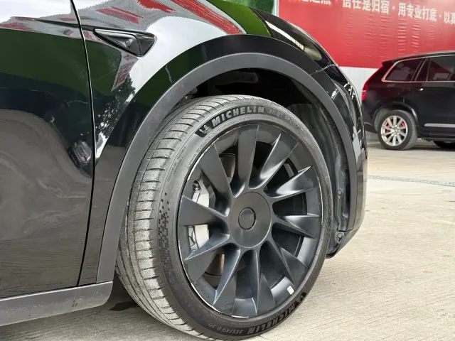 Tesla Model Y — Фото автомобиля 9