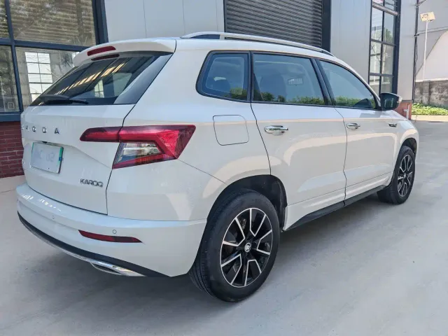 Skoda Karoq — Фото автомобиля 7