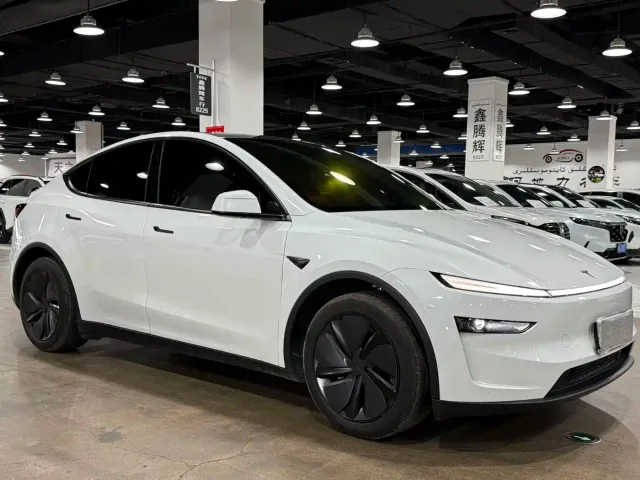 Tesla Model Y — Фото автомобиля 3
