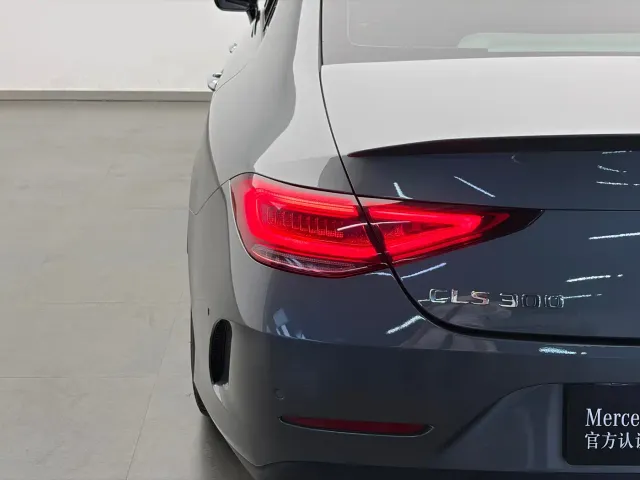 Mercedes-Benz CLS-Class — Фото автомобиля 17
