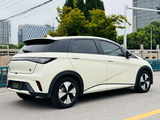 BYD Dolphin — Фото автомобиля 6