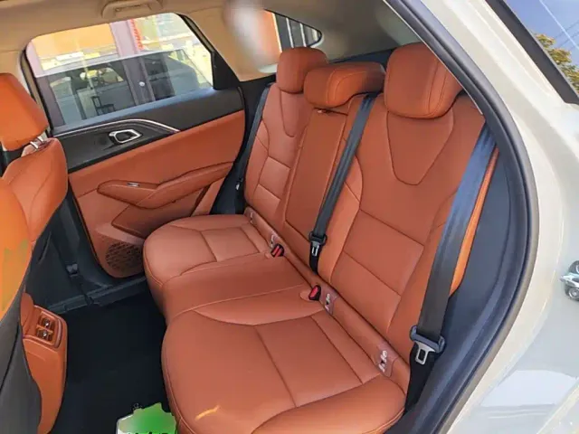 Haval Xiaolong MAX — Фото автомобиля 16