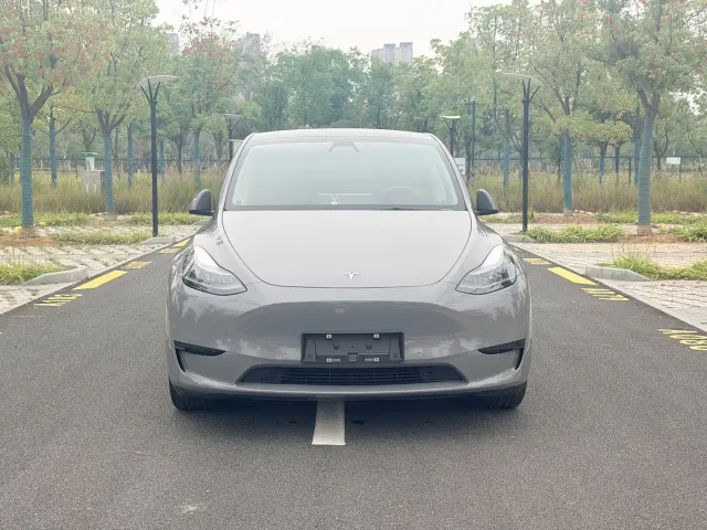 Tesla Model Y — Фото автомобиля 2