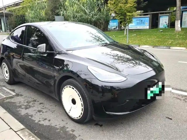 Tesla Model Y — Фото автомобиля 2