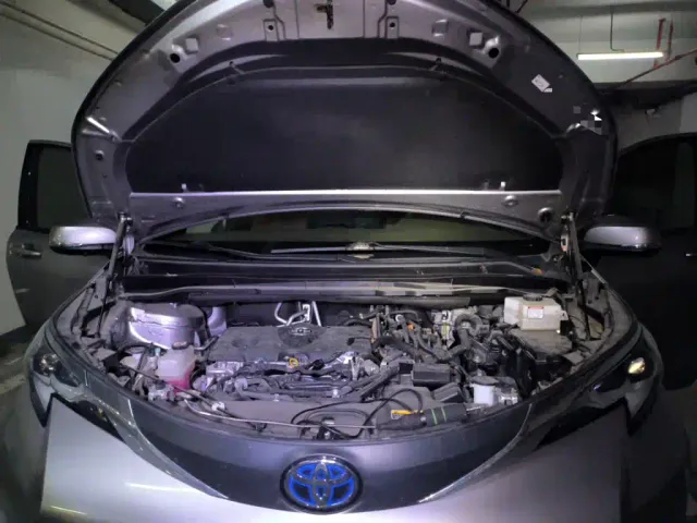 Toyota Sienna — Фото автомобиля 21