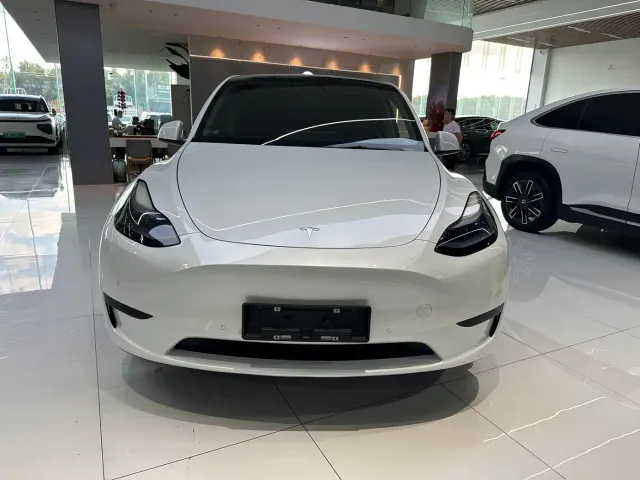 Tesla Model Y — Фото автомобиля 2