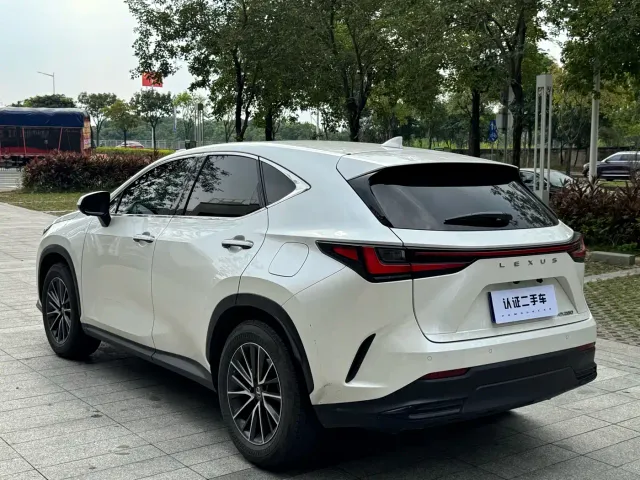 Lexus NX — Фото автомобиля 11