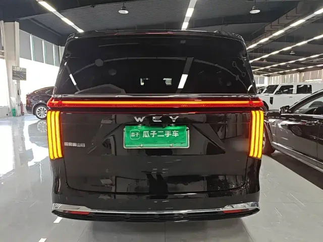 Wey Alpine — Фото автомобиля 5