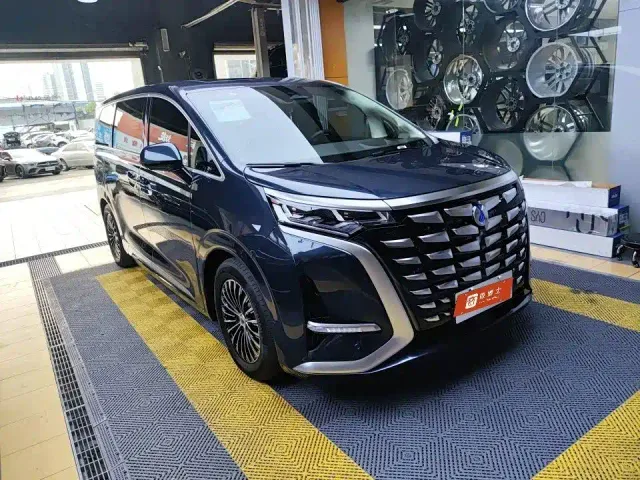 Denza D9 — Фото автомобиля 2