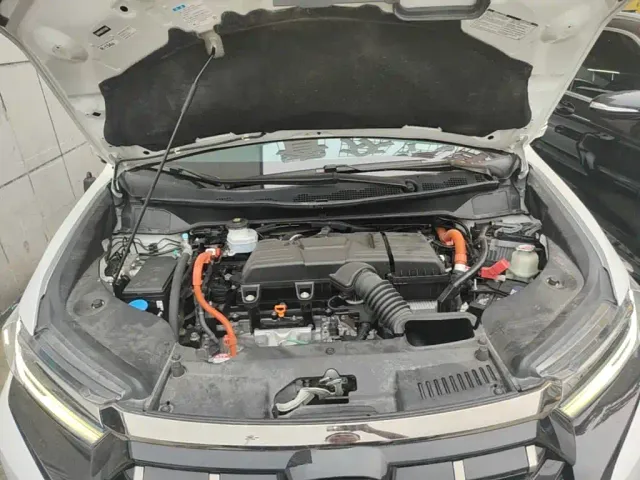 Honda Elysion — Фото автомобиля 19