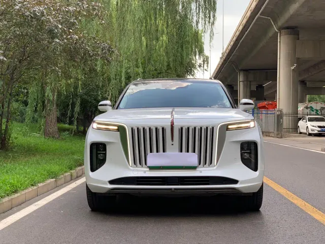 Hongqi E-HS9 — Фото автомобиля 2
