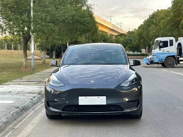 Tesla Model Y — Фото автомобиля 3