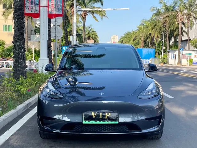Tesla Model Y — Фото автомобиля 2