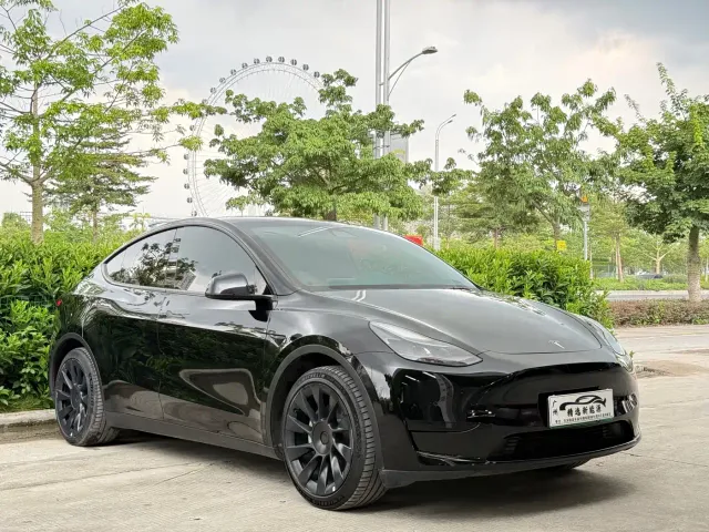 Tesla Model Y — Фото автомобиля 3