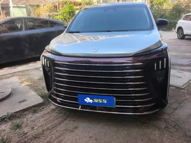 Forthing Xinghai V9 — Фото автомобиля 2