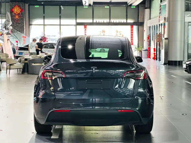 Tesla Model Y — Фото автомобиля 8