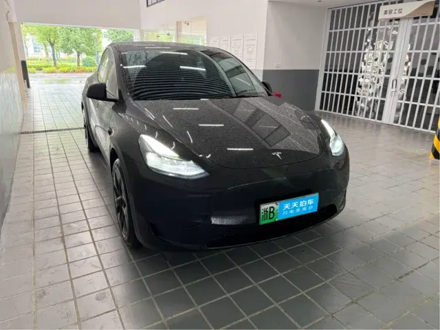 Tesla Model Y — Фото автомобиля 3
