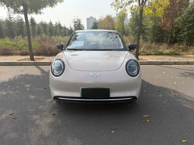 Фотография автомобиля — Wuling Binguo Pro
