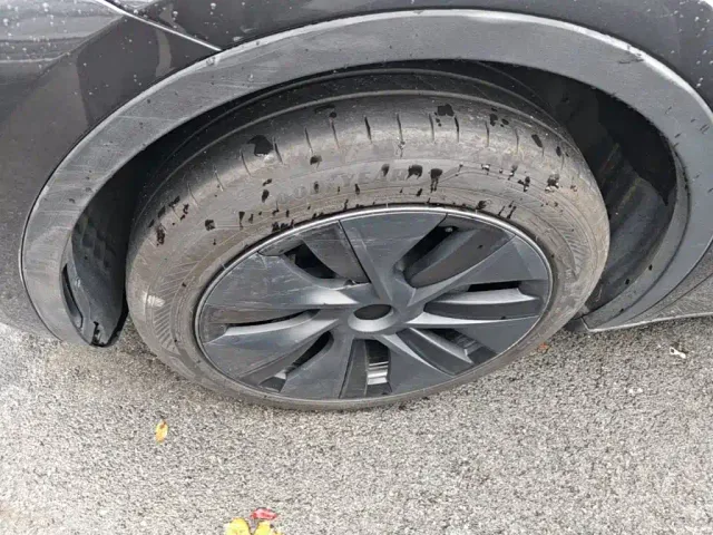 Tesla Model Y — Фото автомобиля 22