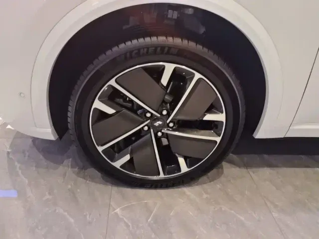 Li Auto L9 — Фото автомобиля 24