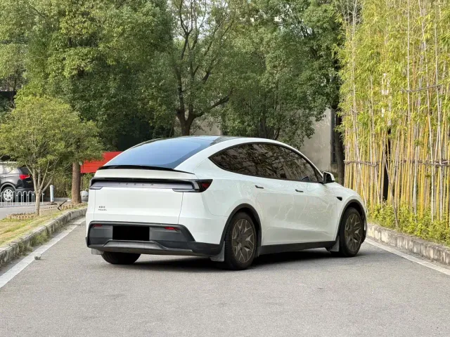 Tesla Model Y L — Фото автомобиля 3