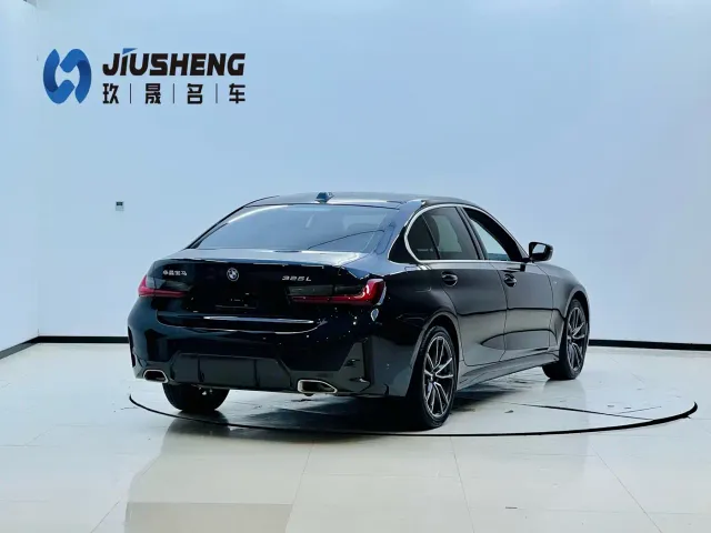 BMW 3 Series — Фото автомобиля 6