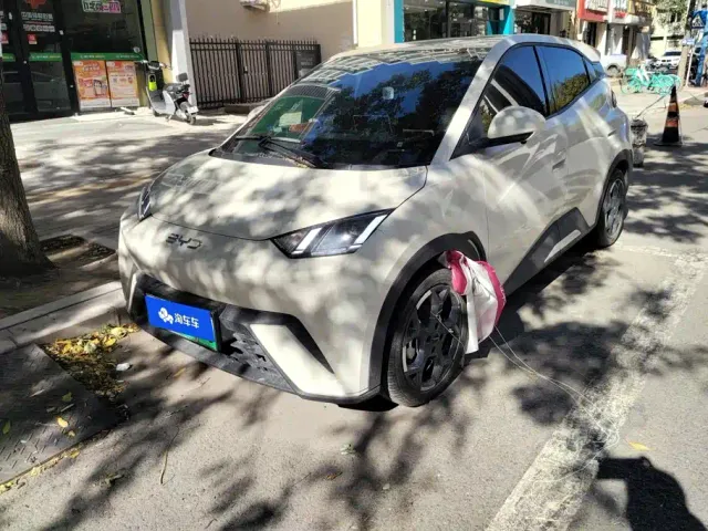 Фотография автомобиля — BYD Seagull