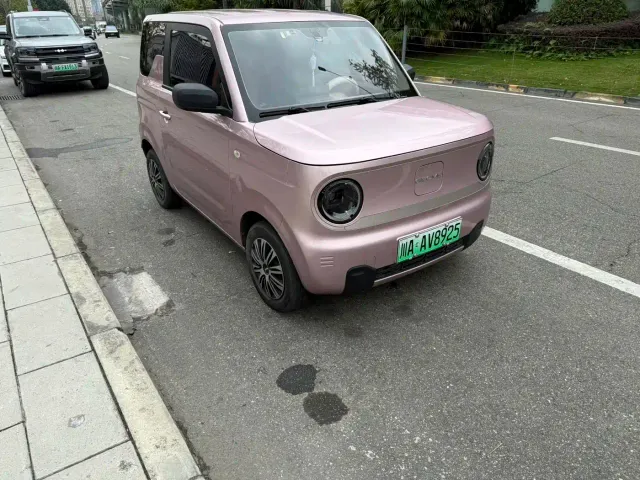 Geely Panda — Фото автомобиля 2