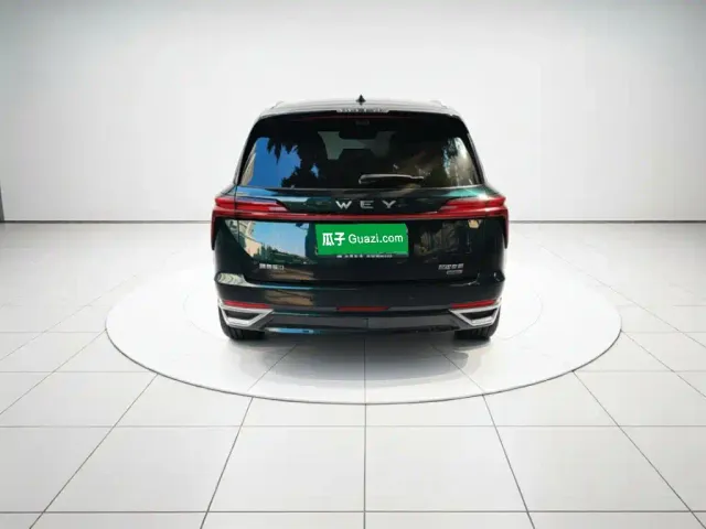 Wey Lanshan — Фото автомобиля 3