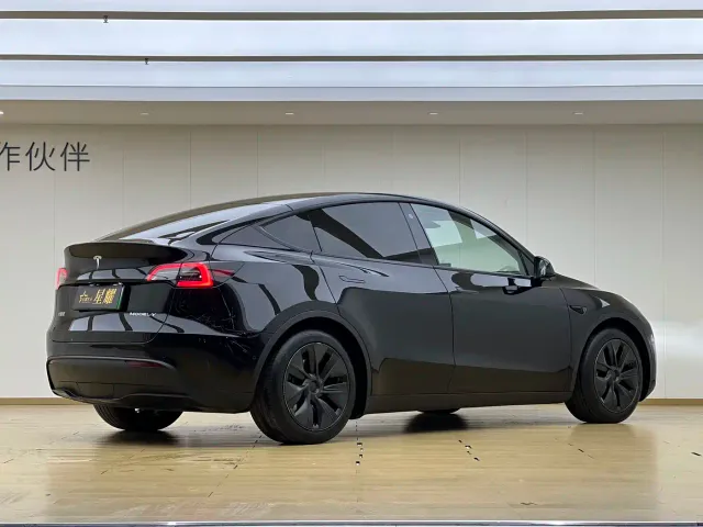 Tesla Model Y — Фото автомобиля 18