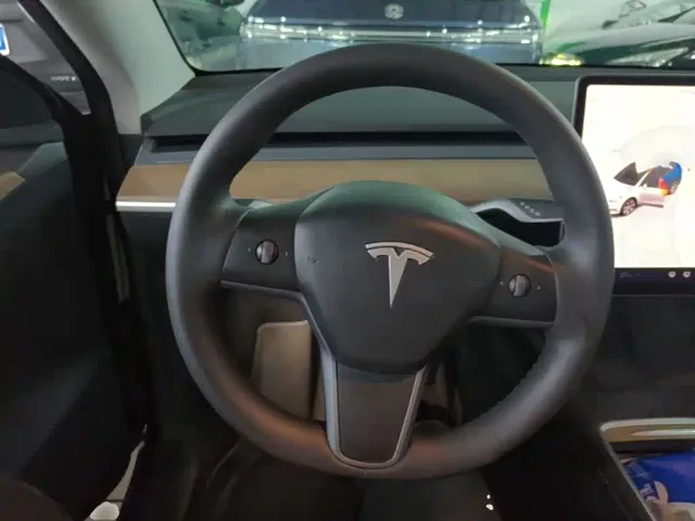 Tesla Model Y — Фото автомобиля 10