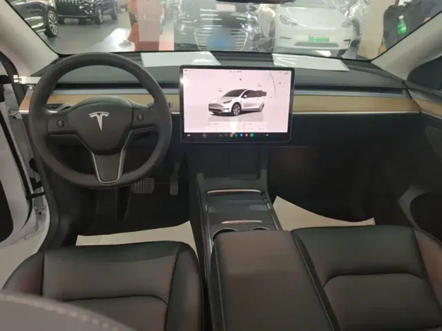 Tesla Model Y — Фото автомобиля 9