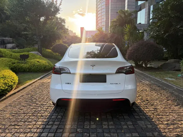 Tesla Model Y — Фото автомобиля 11